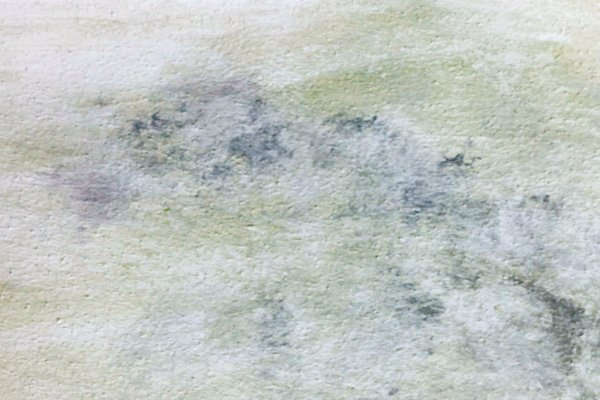 Zariasená fasáda Zariasená fasáda