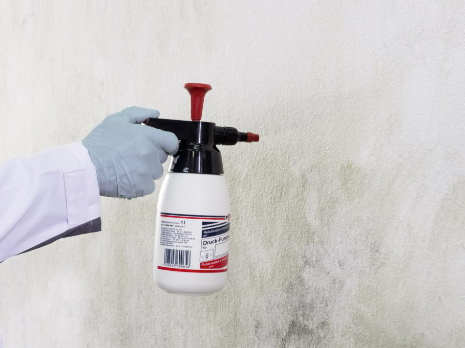 Zariasená fasáda Zariasená fasáda